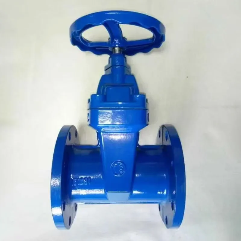 Ductile რკინის დამალვა როდ რბილი ბეჭდის ფლანგის კარიბჭის სარქველი